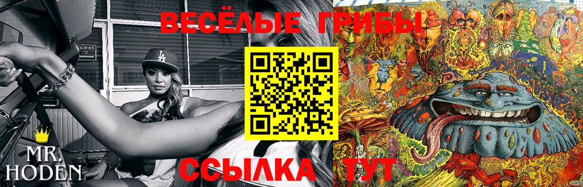 Псилоцибиновые грибы ЛСД  Вход с VPN  Биробиджан 