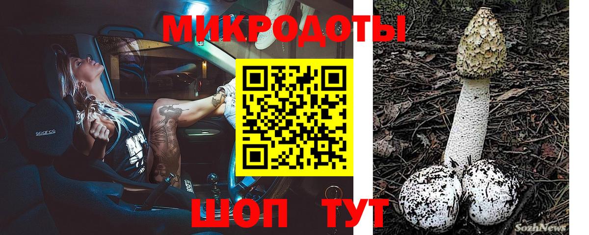 Галлюциногенные грибы мухоморы Биробиджан